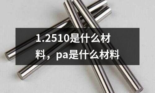 1.2510是什么材料,pa是什么材料