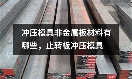 沖壓模具非金屬板材料有哪些,止轉板沖壓模具