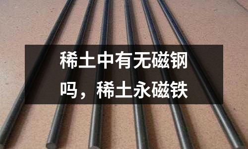 稀土中有無磁鋼嗎，稀土永磁鐵