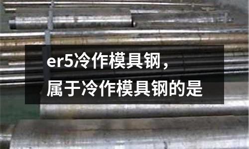 er5冷作模具鋼，屬于冷作模具鋼的是
