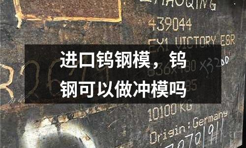 進口鎢鋼模，鎢鋼可以做沖模嗎