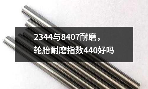 2344與8407耐磨,輪胎耐磨指數440好嗎