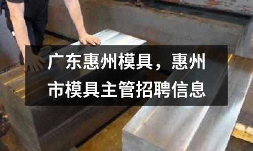 廣東惠州模具，惠州市模具主管招聘信息