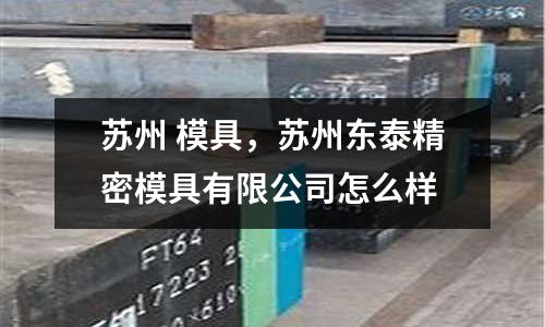 蘇州 模具，蘇州東泰精密模具有限公司怎么樣