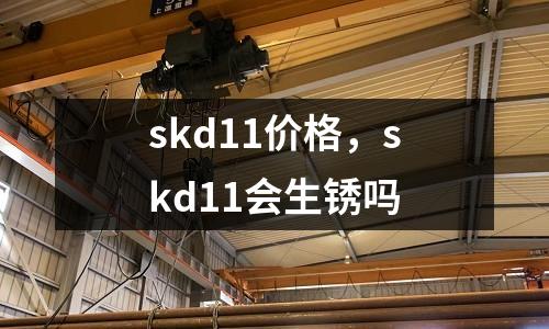 skd11價(jià)格，skd11會(huì)生銹嗎