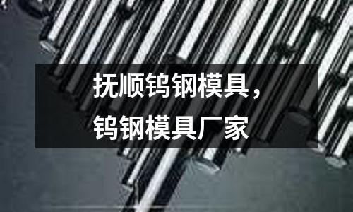 撫順鎢鋼模具，鎢鋼模具廠家