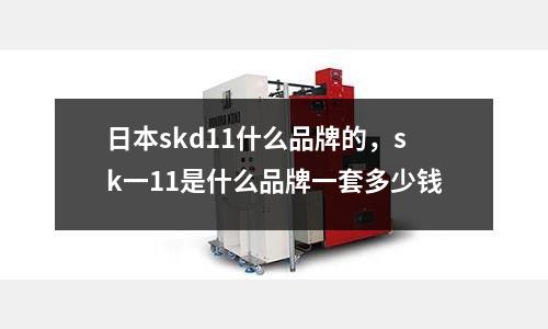 日本skd11什么品牌的，sk一11是什么品牌一套多少錢