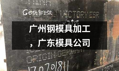 廣州鋼模具加工，廣東模具公司