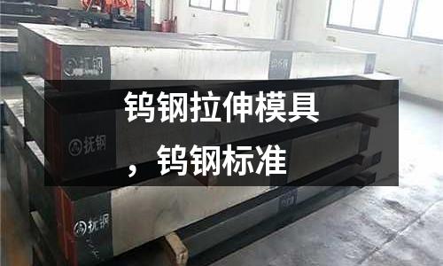 鎢鋼拉伸模具，鎢鋼標準