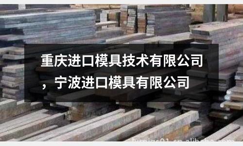重慶進(jìn)口模具技術(shù)有限公司，寧波進(jìn)口模具有限公司