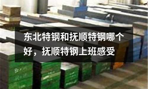 東北特鋼和撫順特鋼哪個好，撫順特鋼上班感受