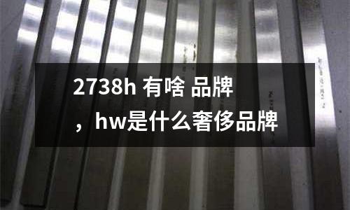 2738h 有啥 品牌，hw是什么奢侈品牌