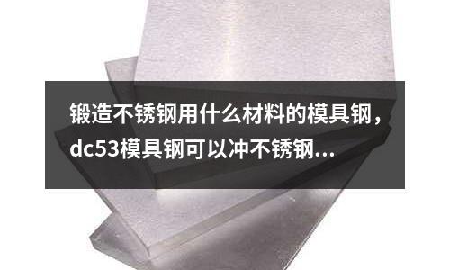鍛造不銹鋼用什么材料的模具鋼，dc53模具鋼可以沖不銹鋼么