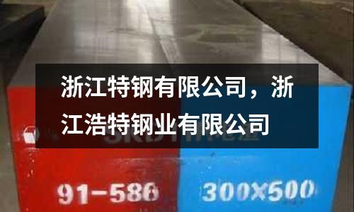 浙江特鋼有限公司，浙江浩特鋼業(yè)有限公司