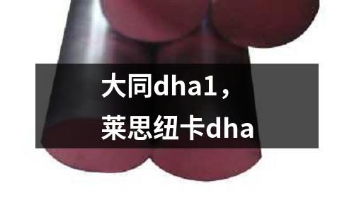 大同dha1，萊思紐卡dha