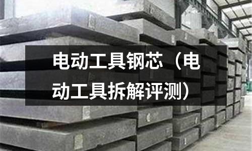 電動工具鋼芯（電動工具拆解評測）