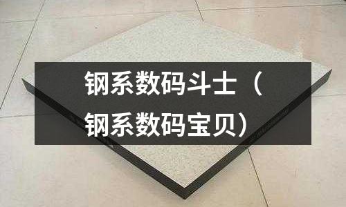 鋼系數碼斗士（鋼系數碼寶貝）