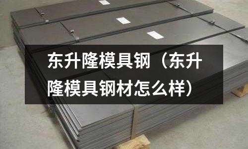 東升隆模具鋼（東升隆模具鋼材怎么樣）