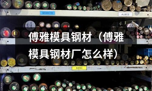 傅雅模具鋼材（傅雅模具鋼材廠怎么樣）