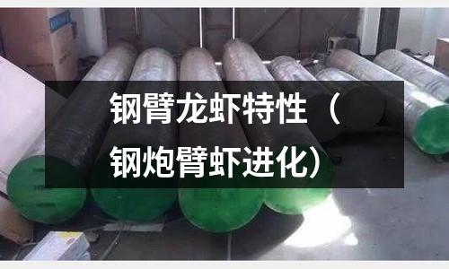 鋼臂龍蝦特性（鋼炮臂蝦進化）