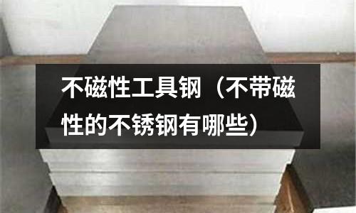 不磁性工具鋼（不帶磁性的不銹鋼有哪些）