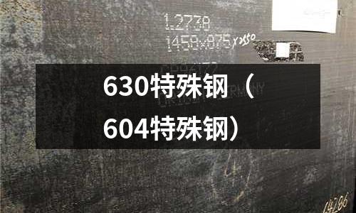 630特殊鋼（604特殊鋼）