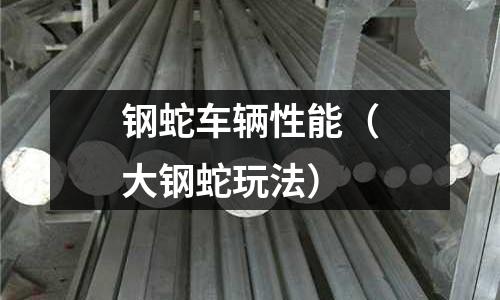 鋼蛇車輛性能（大鋼蛇玩法）