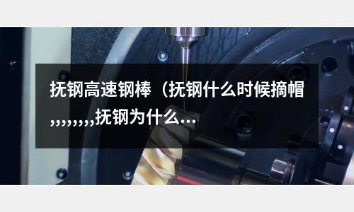 撫鋼高速鋼棒(撫鋼什么時候摘帽,,,,,,,,撫鋼為什么還不申請摘帽)