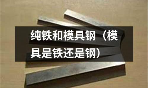 純鐵和模具鋼（模具是鐵還是鋼）