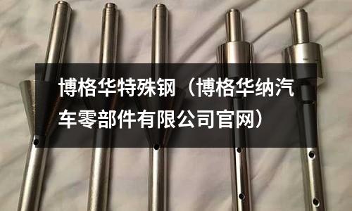 博格華特殊鋼（博格華納汽車零部件有限公司官網(wǎng)）