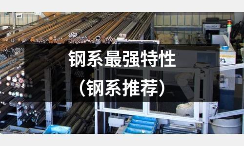鋼系最強特性（鋼系推薦）