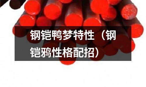 鋼鎧鴨夢特性（鋼鎧鴉性格配招）