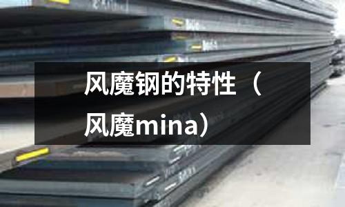 風魔鋼的特性（風魔mina）
