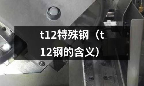 t12特殊鋼（t12鋼的含義）