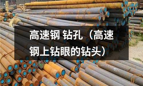高速鋼 鉆孔（高速鋼上鉆眼的鉆頭）