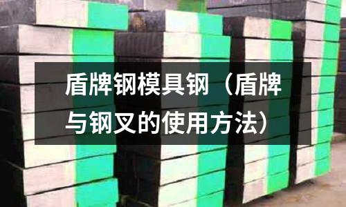 盾牌鋼模具鋼（盾牌與鋼叉的使用方法）