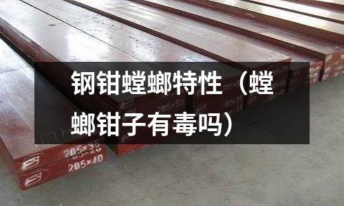 鋼鉗螳螂特性（螳螂鉗子有毒嗎）