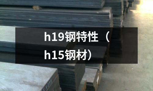 h19鋼特性（h15鋼材）