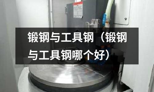 鍛鋼與工具鋼（鍛鋼與工具鋼哪個好）