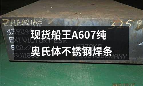 現(xiàn)貨船王A607純奧氏體不銹鋼焊條