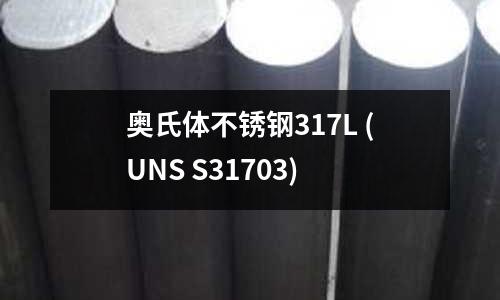 奧氏體不銹鋼317L (UNS S31703)