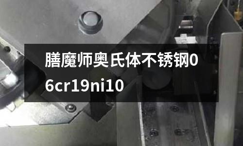 膳魔師奧氏體不銹鋼06cr19ni10