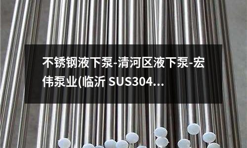不銹鋼液下泵-清河區液下泵-宏偉泵業(臨沂 SUS304不銹鋼，包材質化驗)