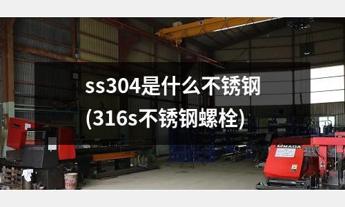 ss304是什么不銹鋼(316s不銹鋼螺栓)
