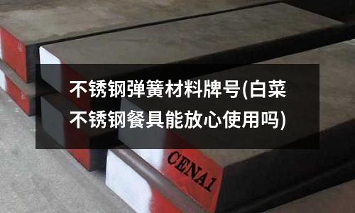 不銹鋼彈簧材料牌號(白菜不銹鋼餐具能放心使用嗎)