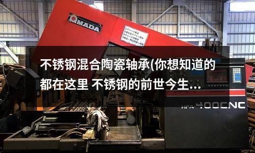 不銹鋼混合陶瓷軸承(你想知道的都在這里 不銹鋼的前世今生)