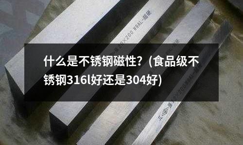 什么是不銹鋼磁性？(食品級不銹鋼316l好還是304好)
