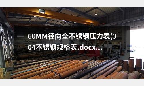 60MM徑向全不銹鋼壓力表(304不銹鋼規格表.docx)
