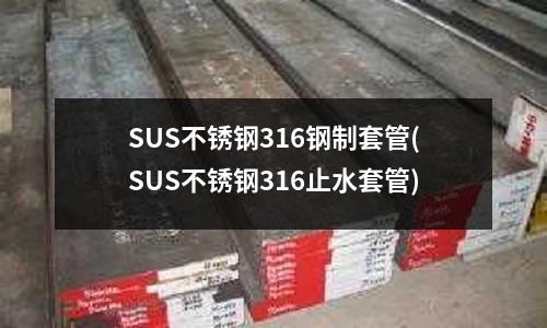 SUS不銹鋼316鋼制套管(SUS不銹鋼316止水套管)