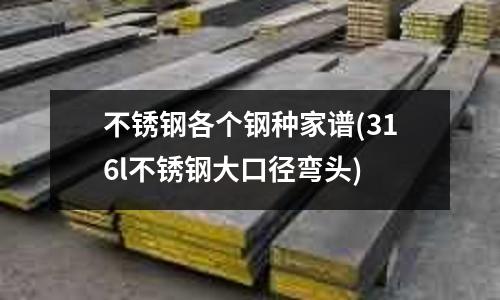 不銹鋼各個鋼種家譜(316l不銹鋼大口徑彎頭)